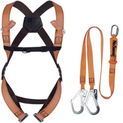 FALL ARRESTER KIT FOR SCAFFOLDING ELARA28 S-M-L, Delta Plus