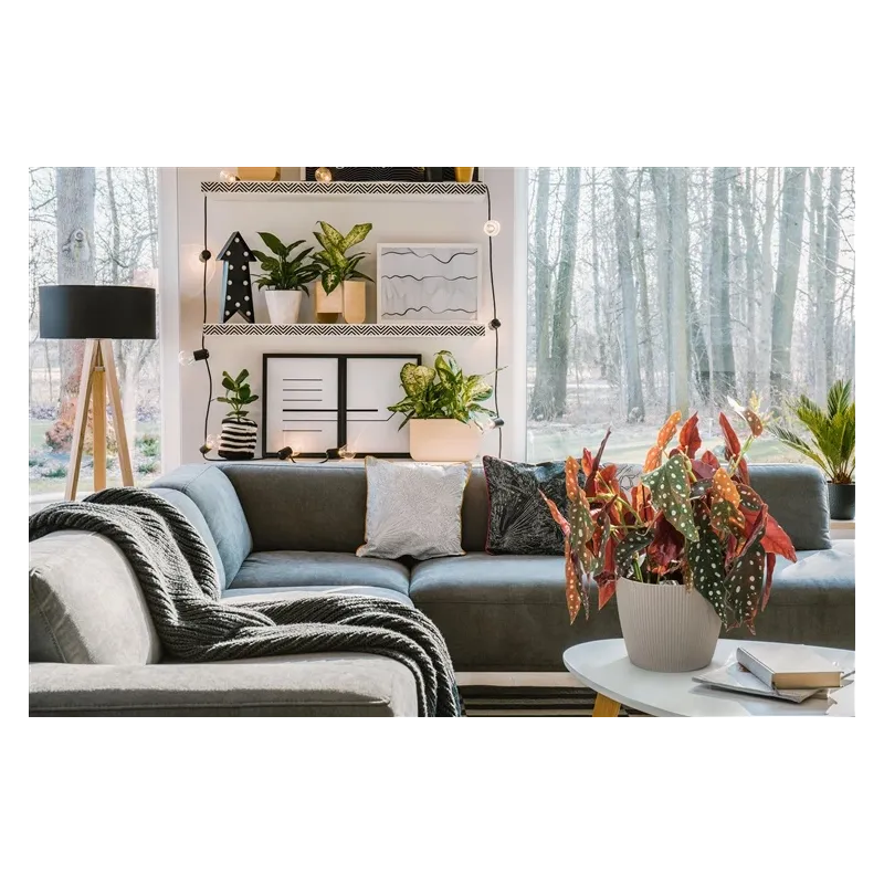 Salvešu turētājs 5five Simply Smart 155928C, 260 mm x 132 mm, brūna krās.-melna krās.