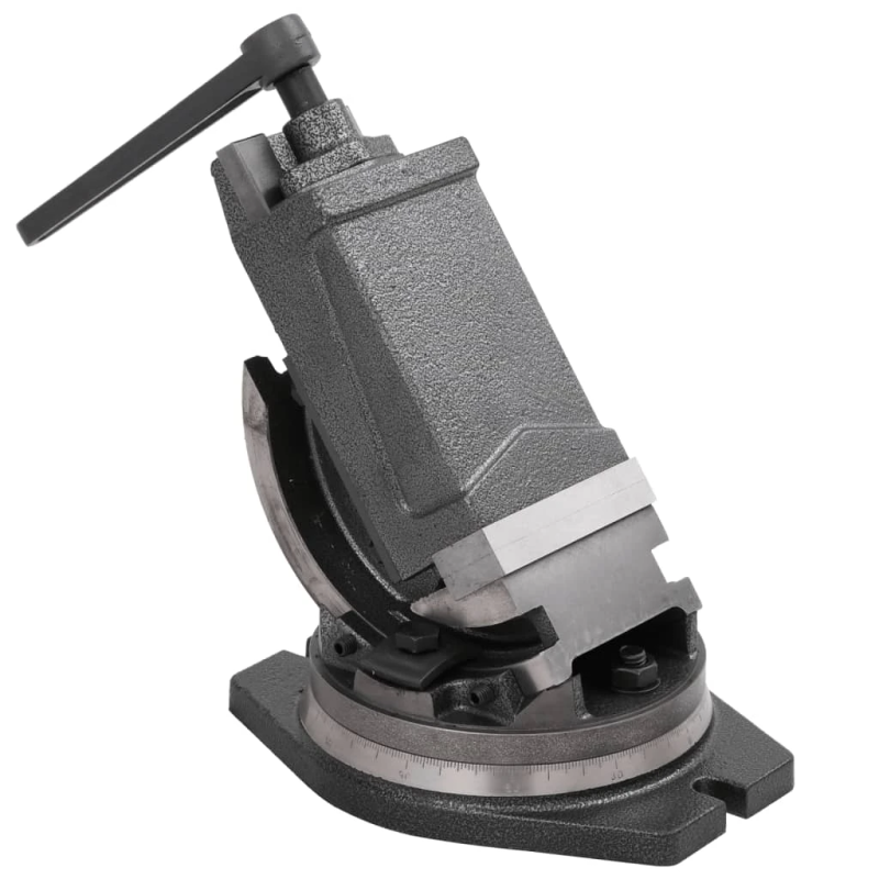 vidaXL skrūvspīles, 2 asis, noliecamas, 100 mm