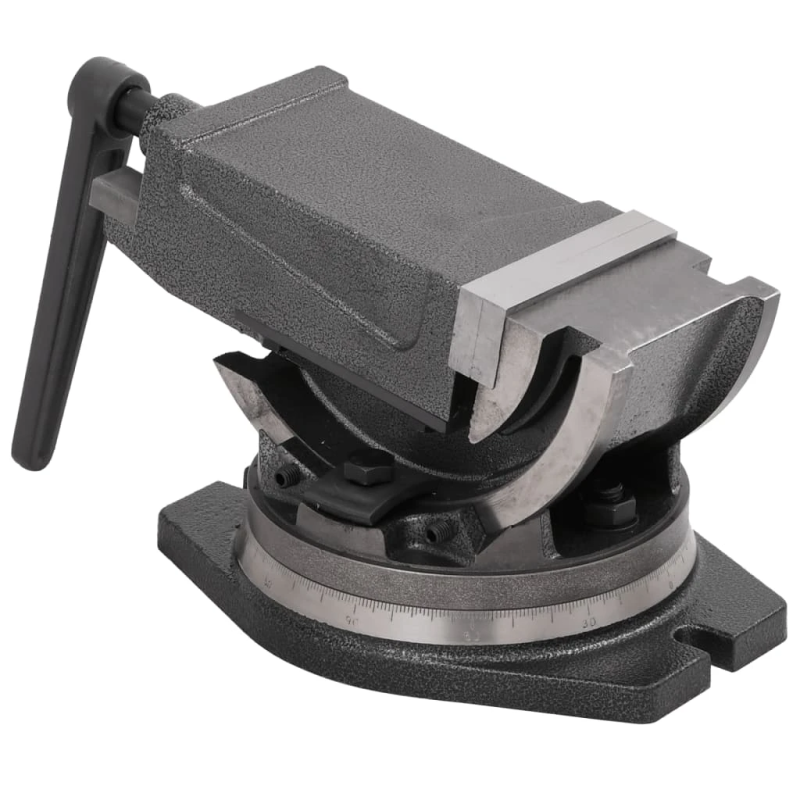 vidaXL skrūvspīles, 2 asis, noliecamas, 100 mm