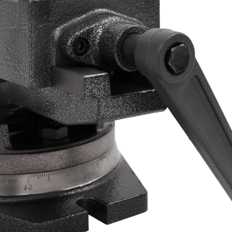 vidaXL skrūvspīles, 2 asis, noliecamas, 100 mm