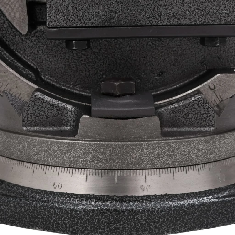 vidaXL skrūvspīles, 2 asis, noliecamas, 100 mm