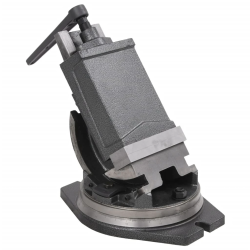 vidaXL skrūvspīles, 2 asis, noliecamas, 160 mm