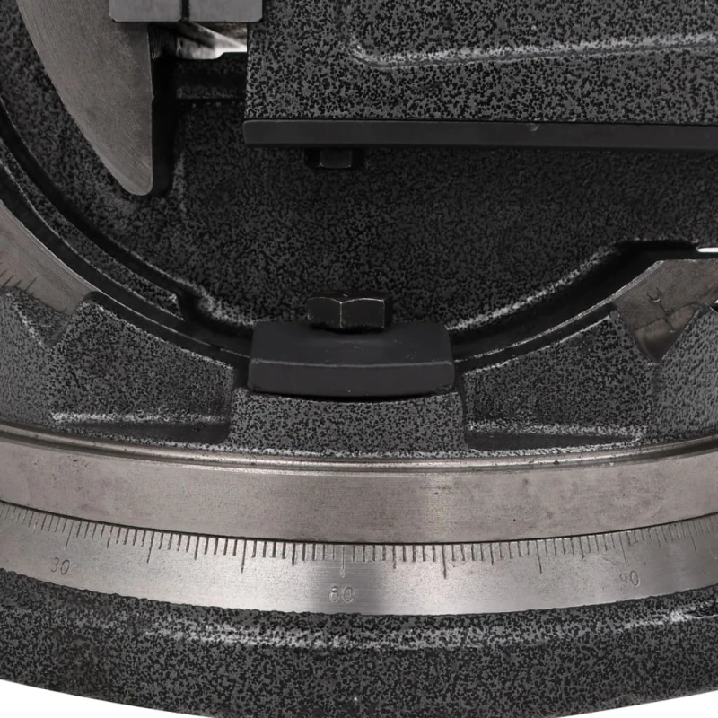 vidaXL skrūvspīles, 2 asis, noliecamas, 160 mm