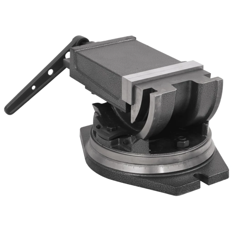 vidaXL skrūvspīles, 2 asis, noliecamas, 160 mm