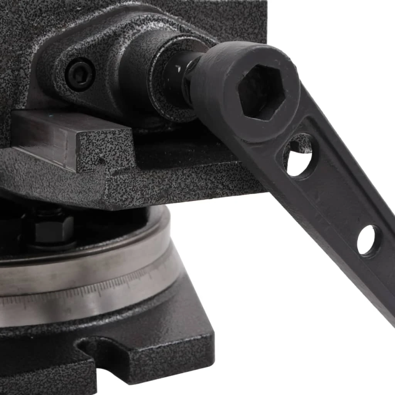 vidaXL skrūvspīles, 2 asis, noliecamas, 160 mm