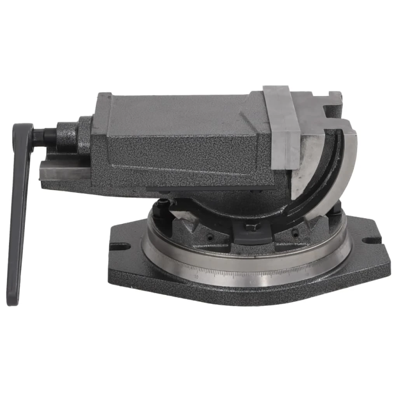 vidaXL skrūvspīles, 2 asis, noliecamas, 160 mm