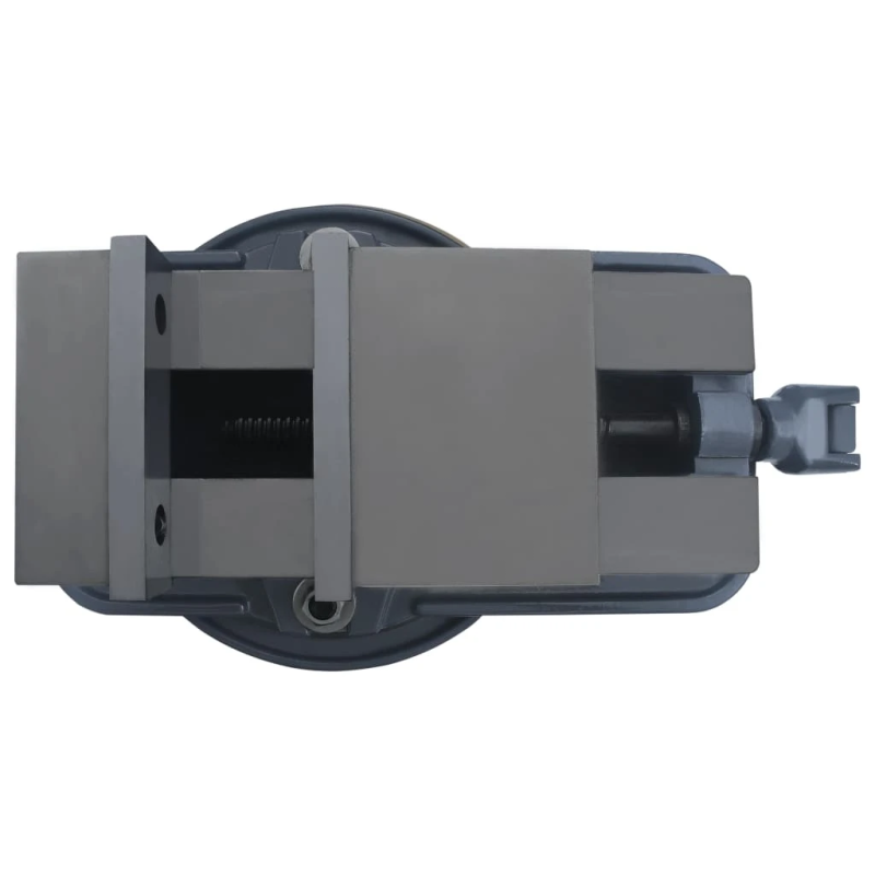 vidaXL grozāmas skrūvspīles, čuguns, 160 mm