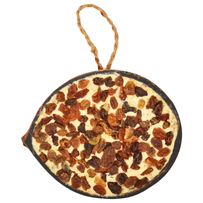vidaXL putnu barība, pildītas kokosriekstu pusītes, 10 gab., 290 g