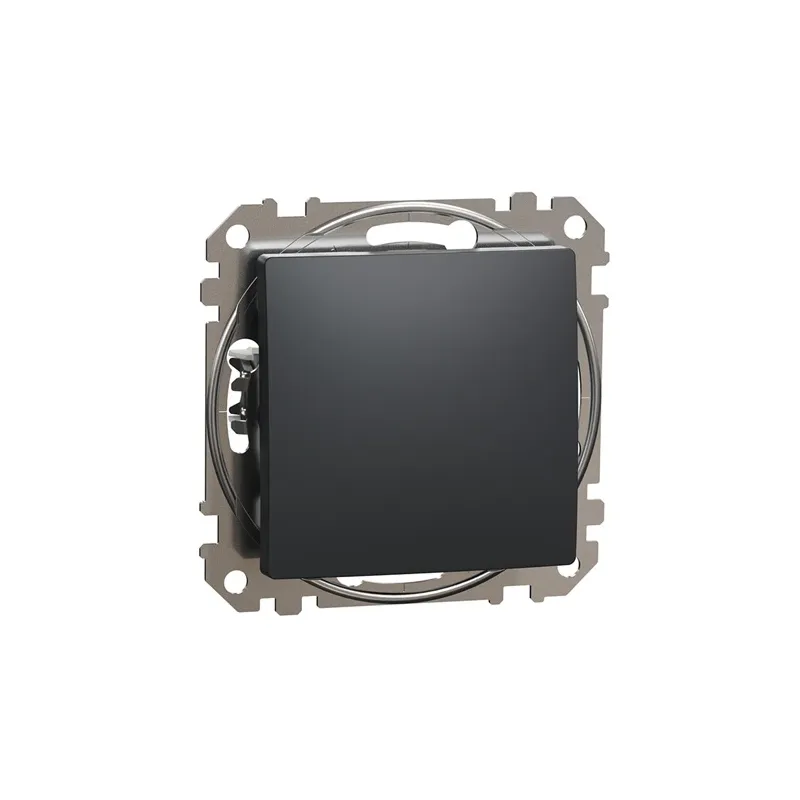 Poga Schneider Electric Sedna Design, 1 kl, antracīta