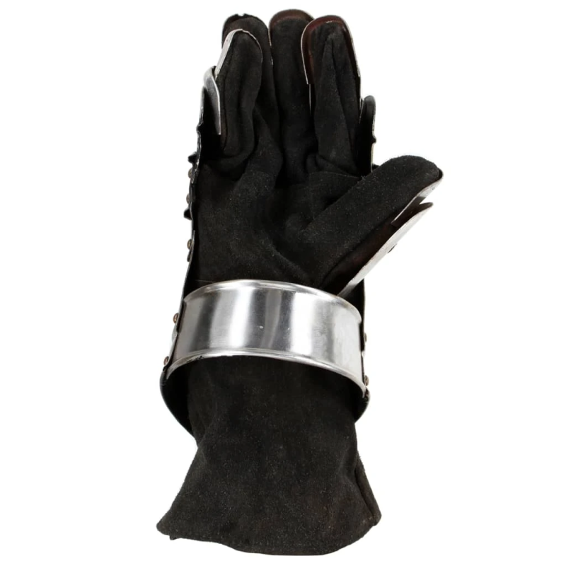 vidaXL viduslaiku bruņinieku cimdi, replika, LARP, tērauds