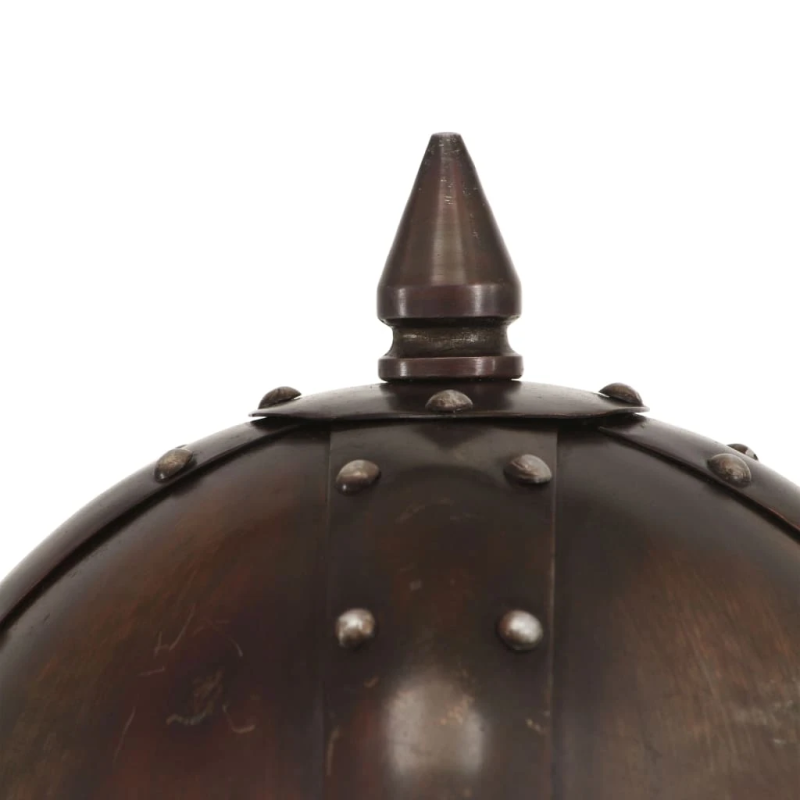 vidaXL vikingu karotāju bruņucepure, replika, vara krāsas tērauds