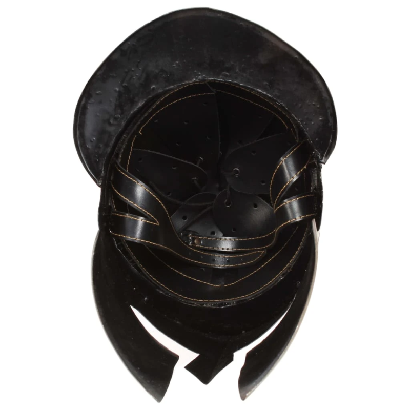 vidaXL grieķu karotāju bruņucepure, replika, misiņa krāsas tērauds