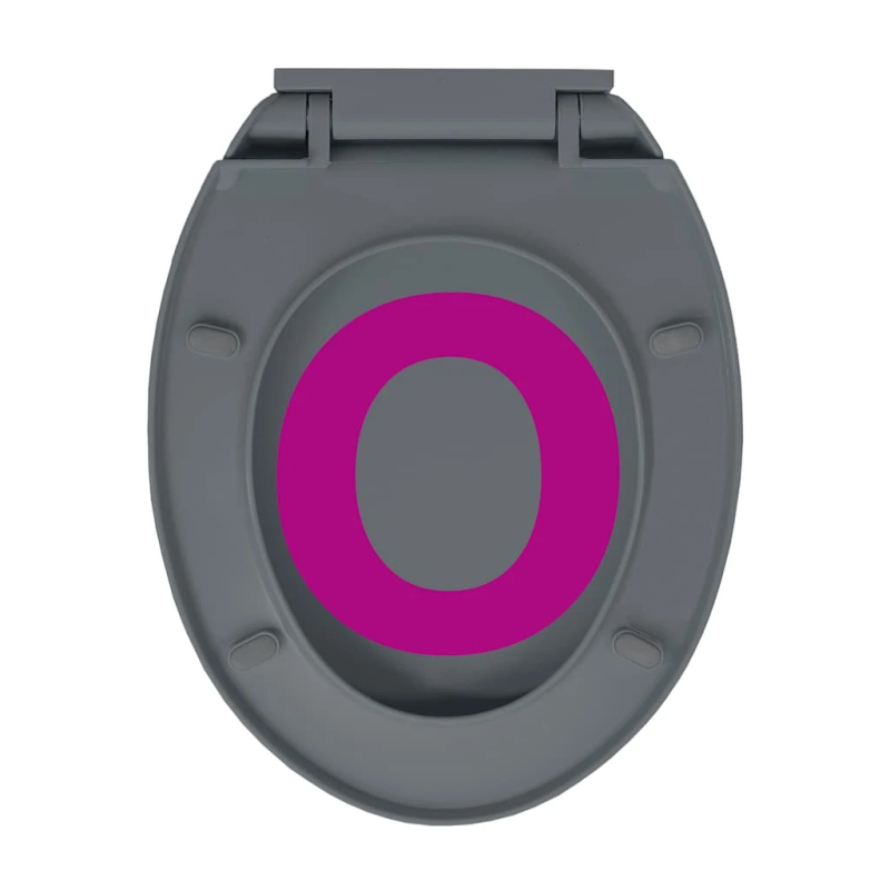 vidaXL tualetes poda sēdeklis, lēnās aizvēršanas funkcija, pelēks