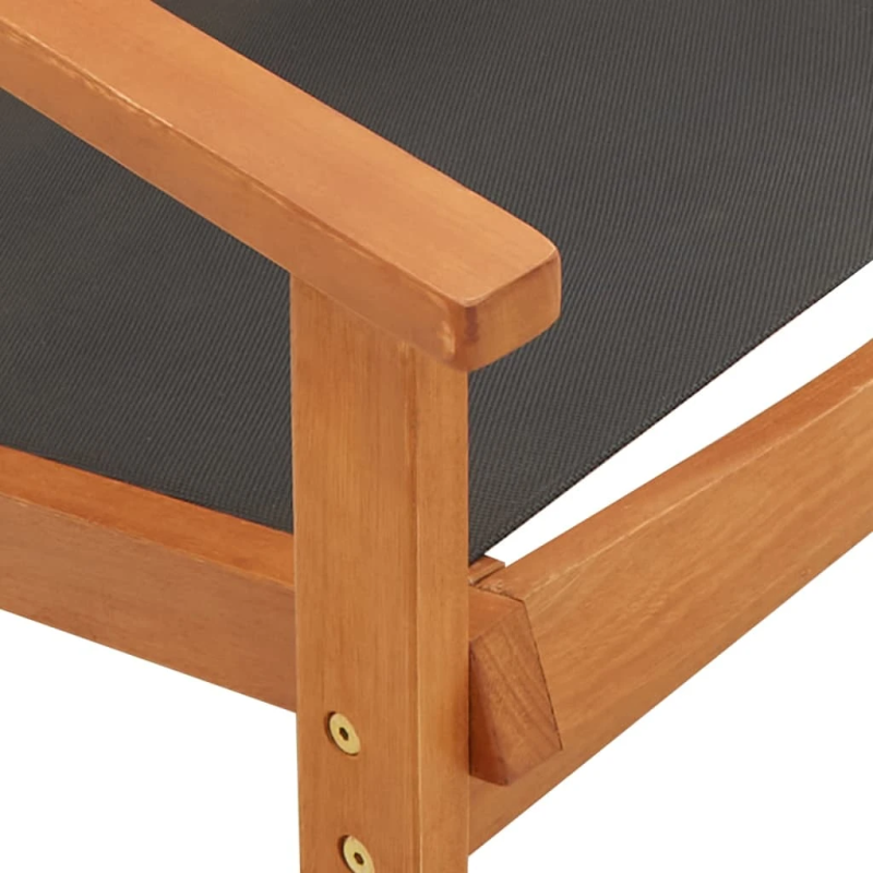 vidaXL dārza krēsls ar kāju balstu, eikalipta masīvkoks un tekstilēns