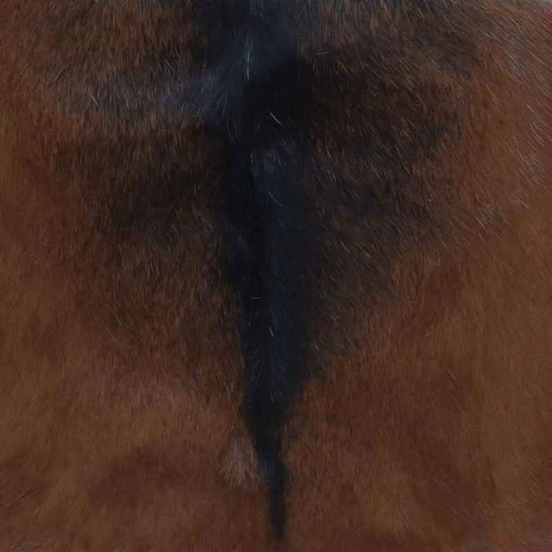 vidaXL saliekams krēsliņš, kazāda un masīvs tīkkoks