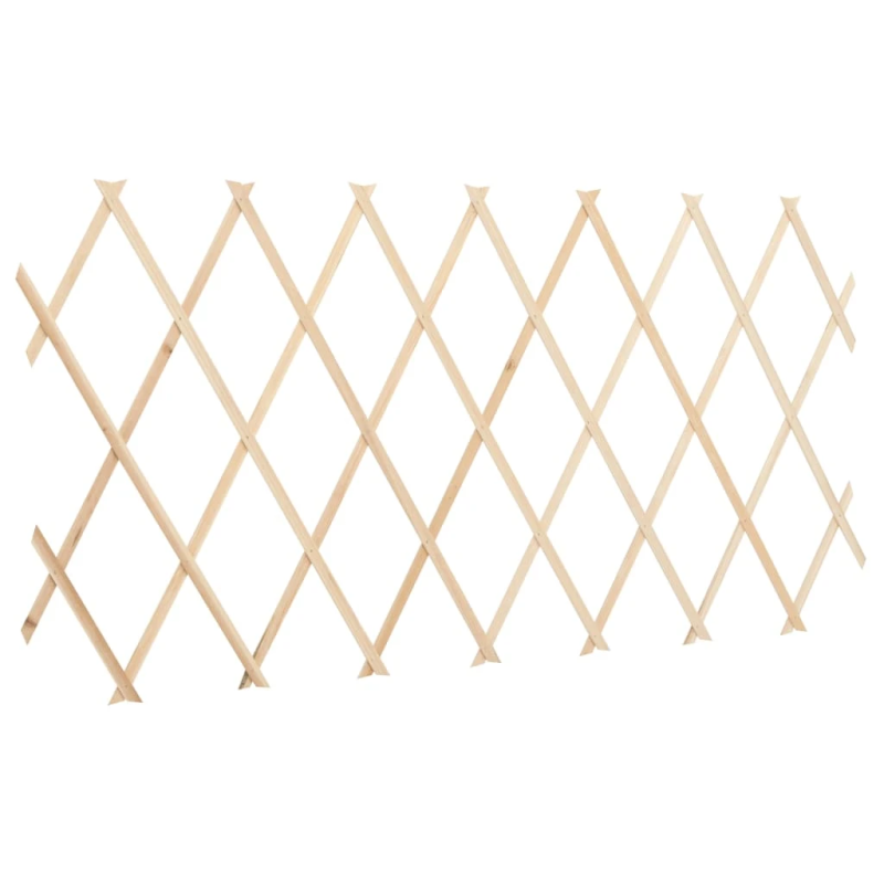 vidaXL špaleru žogi, 5 gab., 180x60 cm, egles koks