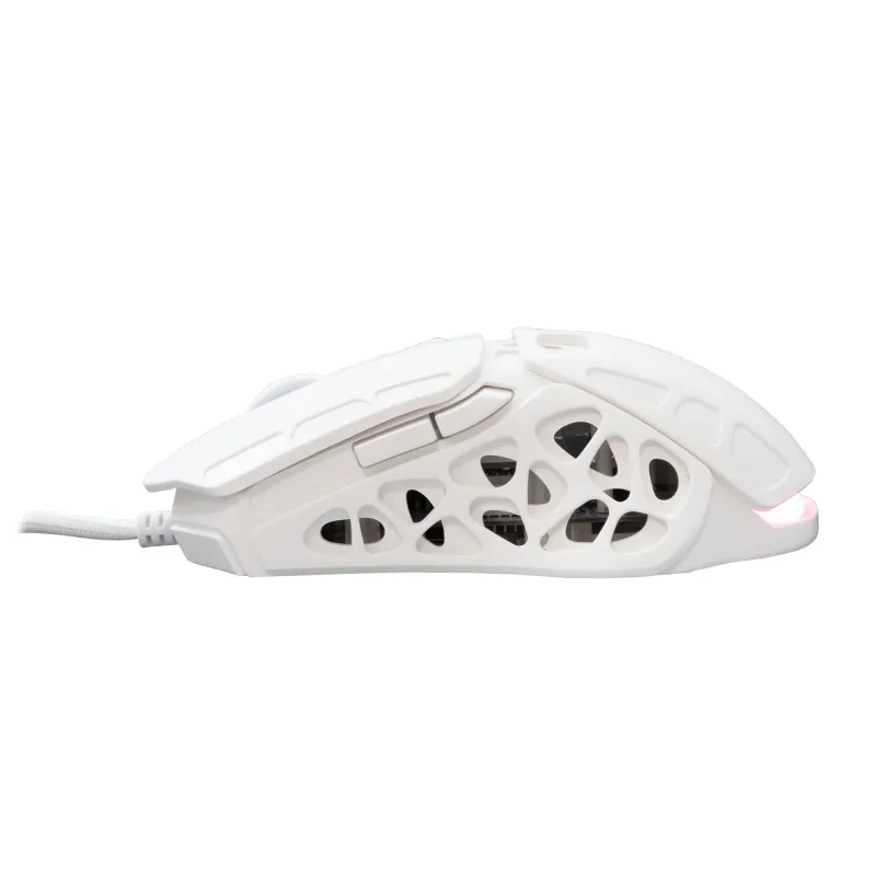 White Shark GM-5016 Ector White