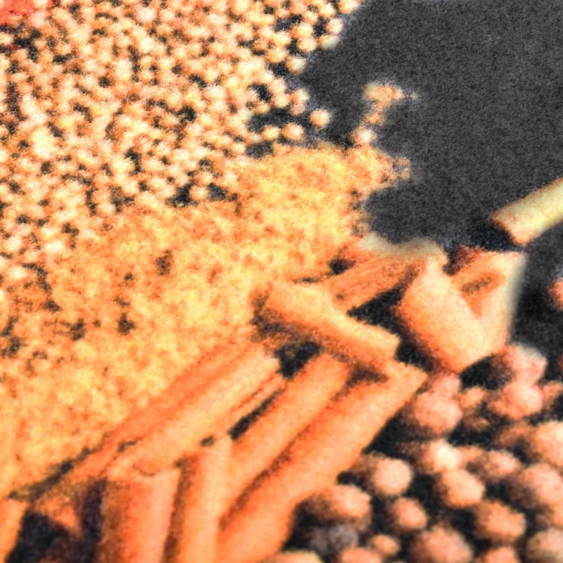 vidaXL virtuves paklājs, mazgājams, apdruka ar garšvielām, 60x180 cm