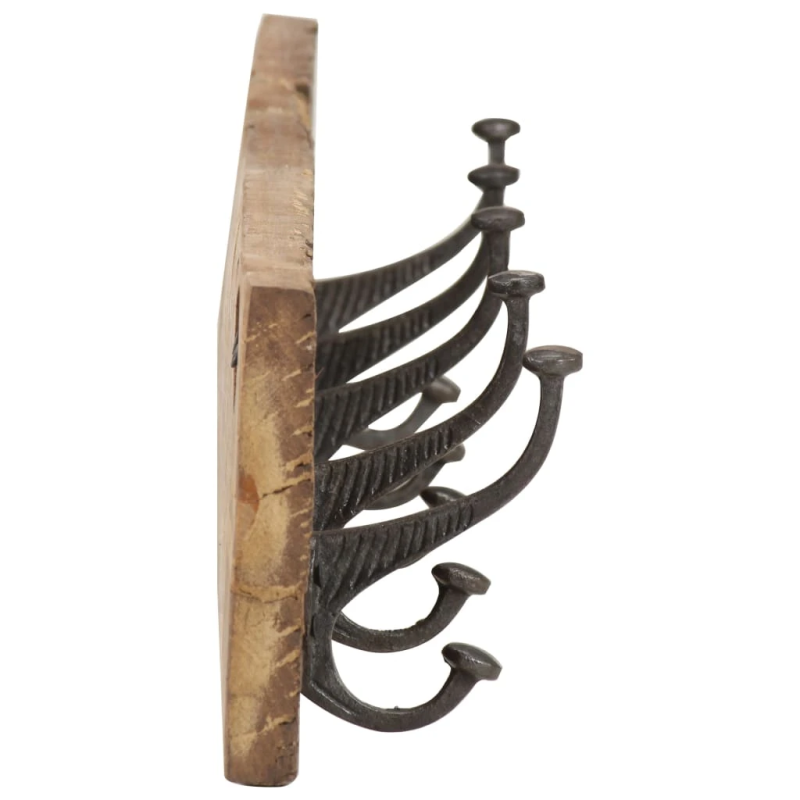 vidaXL pakaramais ar 5 āķiem, 100x2,5x15 cm, pārstrādāts masīvkoks