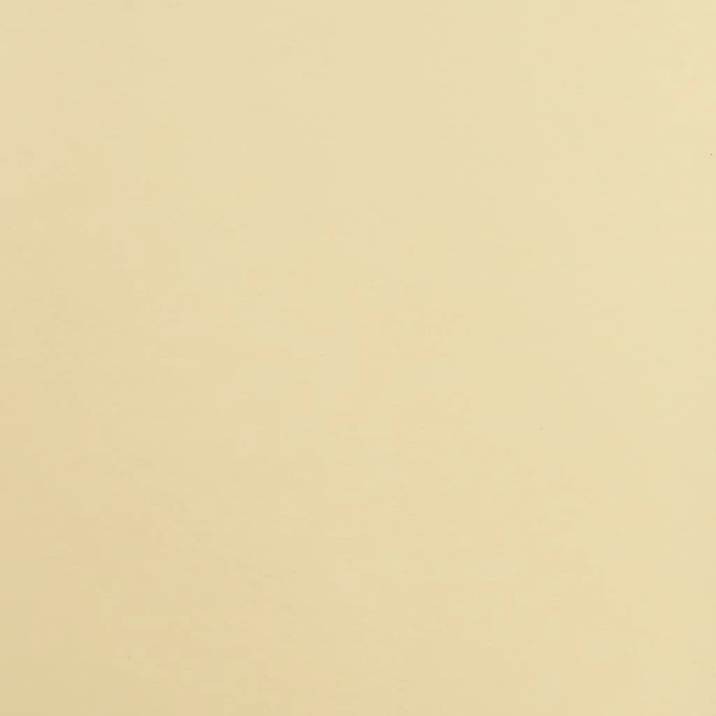 vidaXL salona krēsls, krēmkrāsas mākslīgā āda