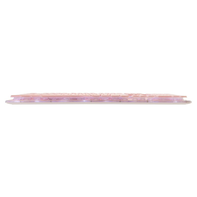 White Shark GK-003441 Tachi Pink US