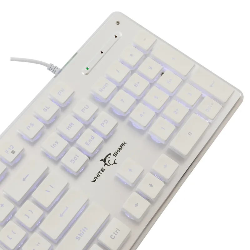 White Shark GK-003241 Tachi White US