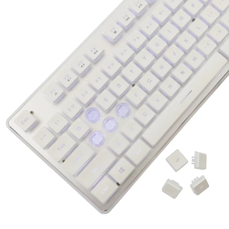 White Shark GK-003241 Tachi White US