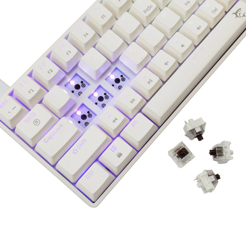 White Shark GK-004231 Shinobi 2 Brown Switch, White US