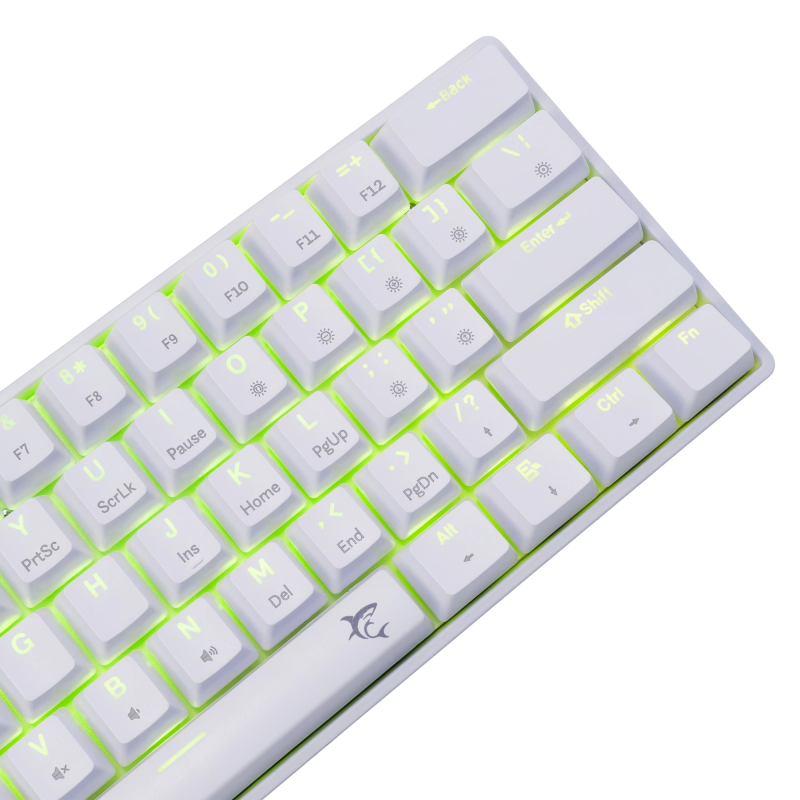 White Shark GK-004221 Shinobi 2 Blue switch, White US