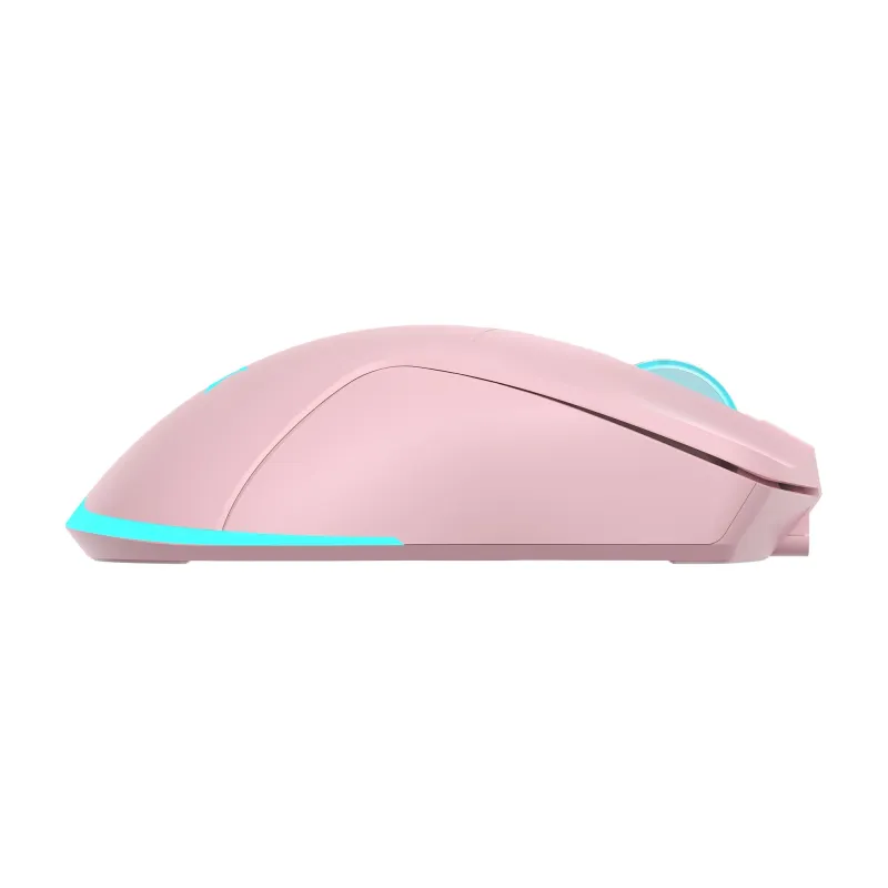 Baracuda BGM-124 Turtle Pink