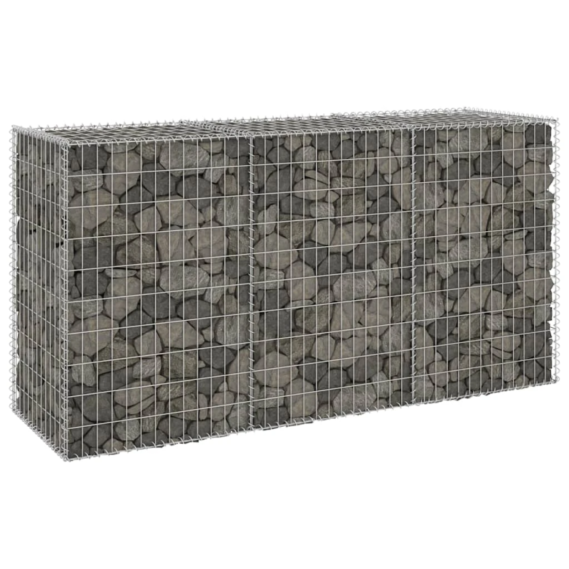 vidaXL gabions ar vāku, cinkots tērauds, 200x60x100 cm