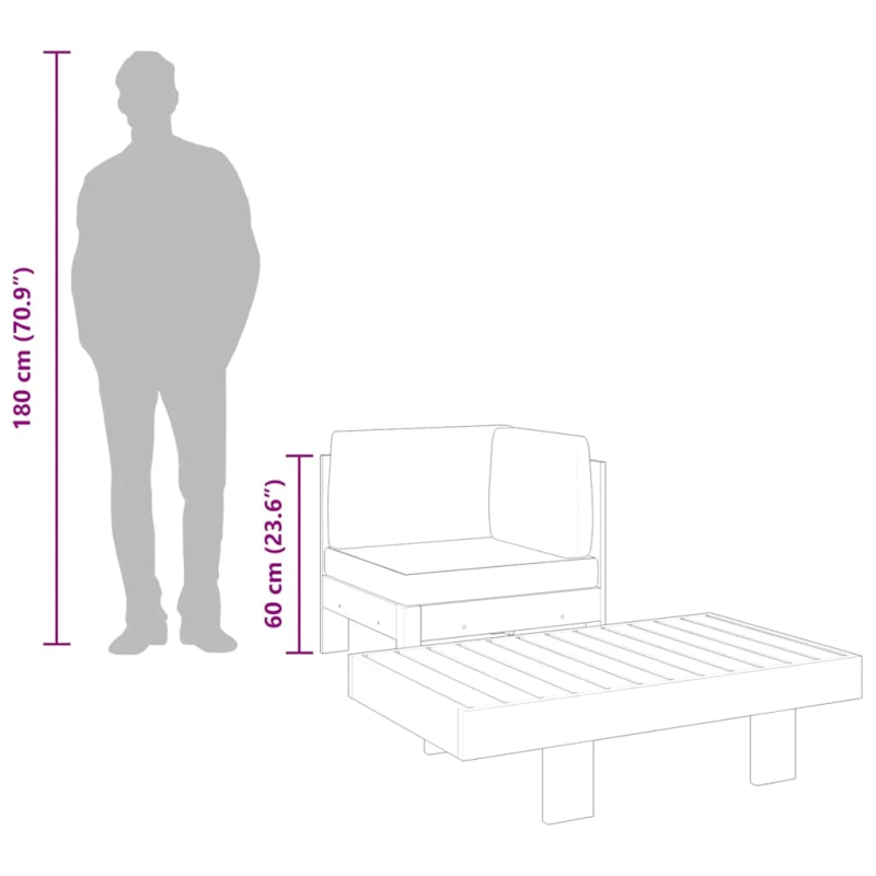 vidaXL 2-daļīgs dārza atpūtas mēbeļu komplekts ar spilveniem, akācija