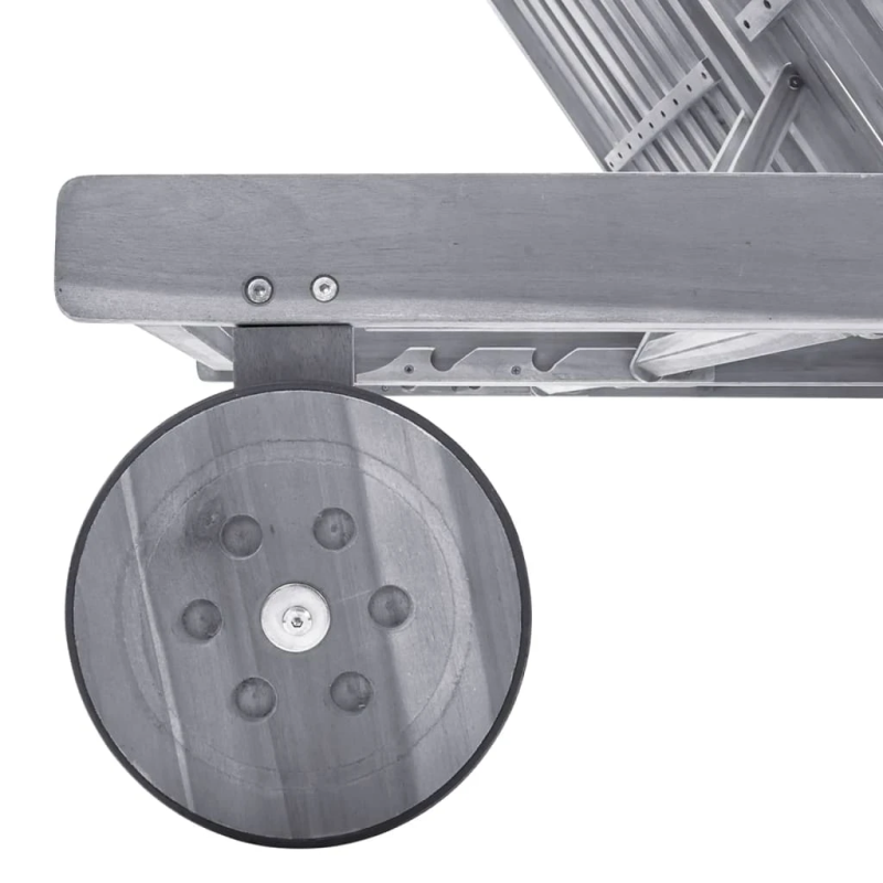 vidaXL divvietīgs sauļošanās zvilnis, akācijas masīvkoks