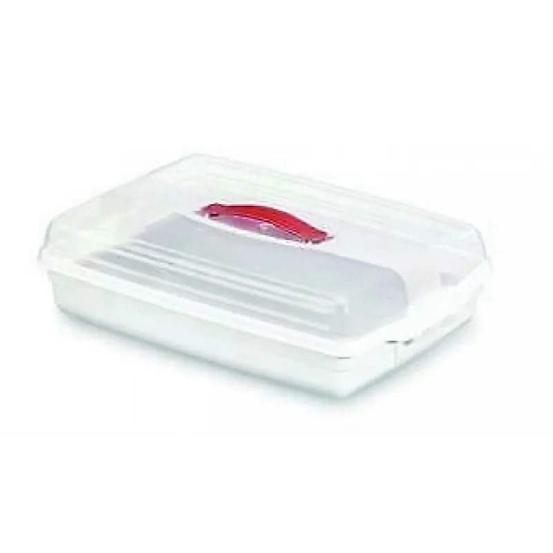 Cake container Curver. 29.5 x 45 x 11 cm, plastic