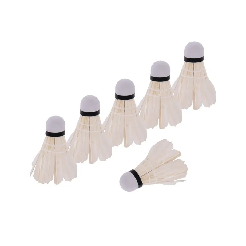 Badmintona bumbiņas W205BB. 6 gab.