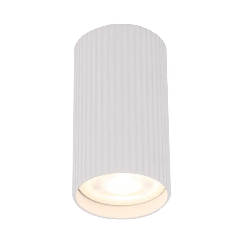 Šviestuvas lubų TK Lighting Tune 10023, GU10, 1 x 10 W