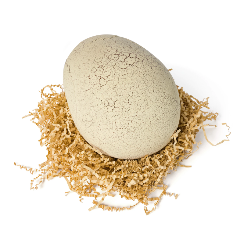 PRIMAL HATCH Interaktīva rotaļlieta Jurassic Hatching Dino