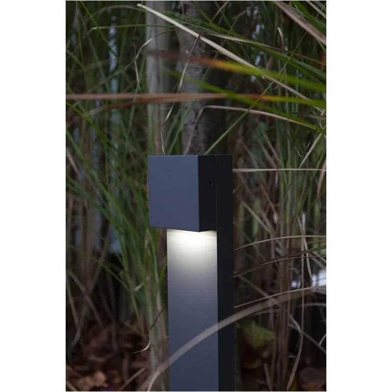 Brīvi stāvošs āra gaismeklis Lutec Gemini XF, 9.50W, LED, IP54, tumši pelēka krās., 9.2 cm x 65 cm