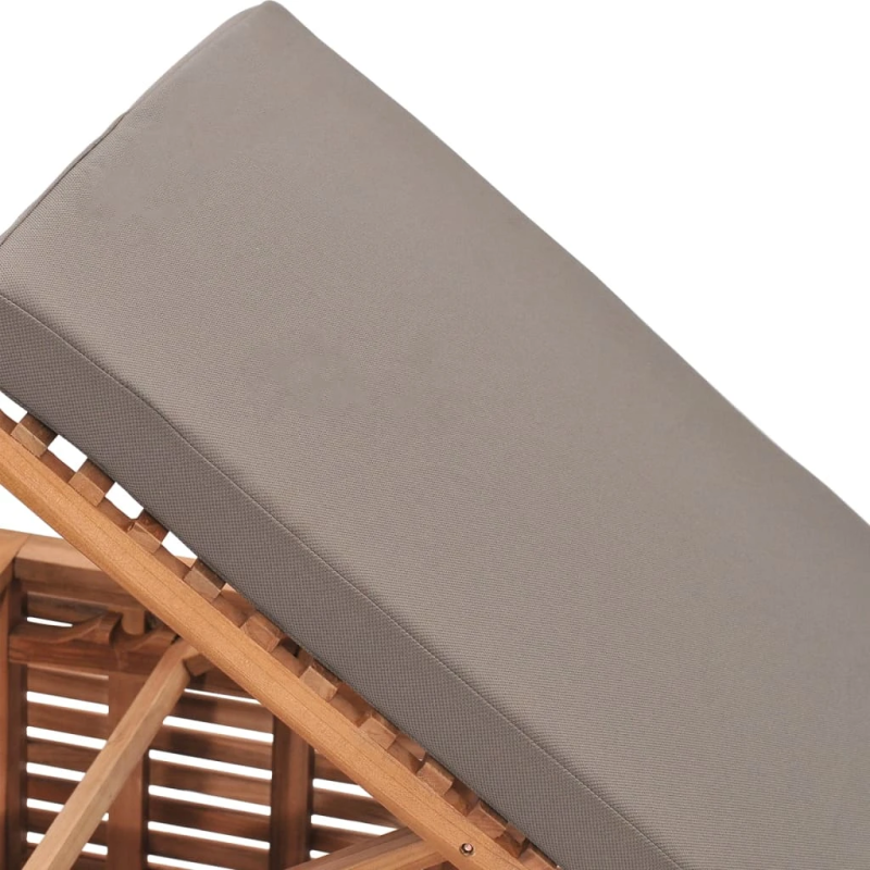 vidaXL sauļošanās zvilnis, tumši pelēks matracis, masīvs tīkkoks