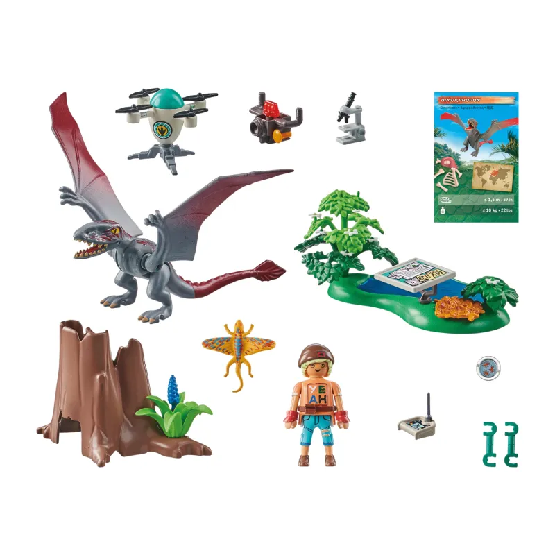 PLAYMOBIL DINO Dimorfodona observatorija 71525