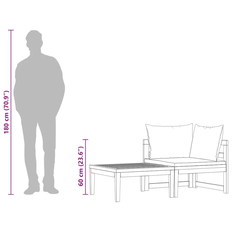 vidaXL 2-daļīgs dārza atpūtas mēbeļu komplekts ar spilveniem, akācija