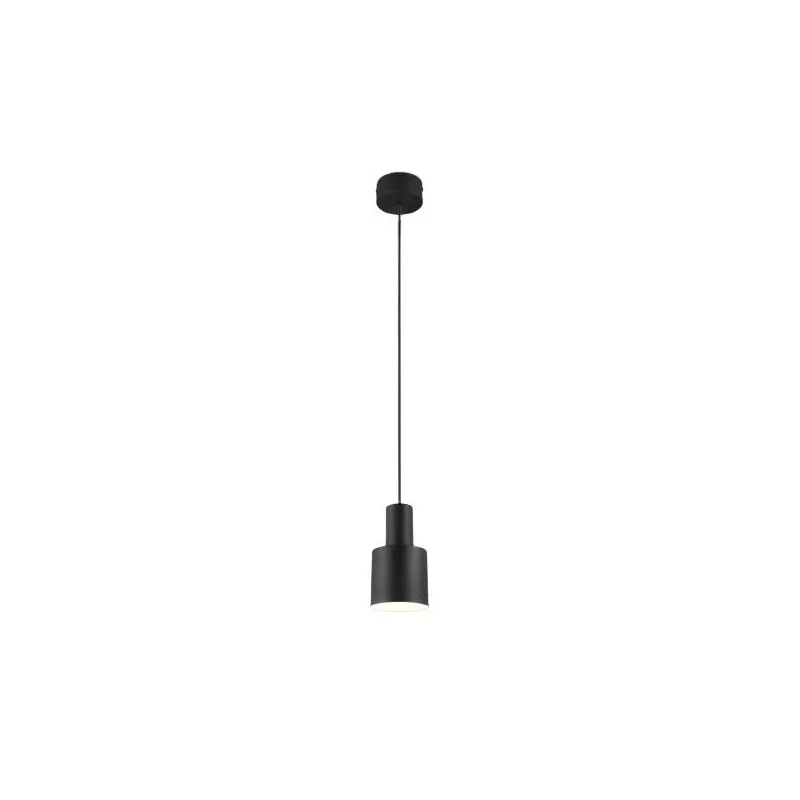 Valgusti rippuv Trio Agudo 319400132, E27, 1 x 10 W