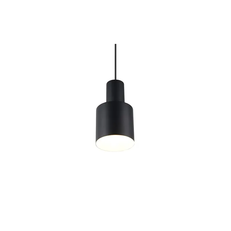 Valgusti rippuv Trio Agudo 319400132, E27, 1 x 10 W