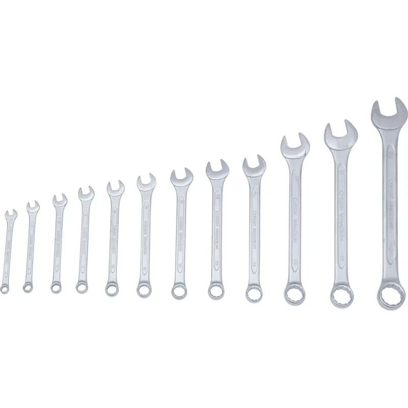 Kombinēto atslēgu komplekts - 6 - 22 mm - 12 gab.