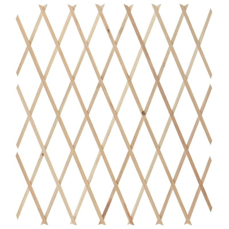 vidaXL špaleru žogi, 5 gab., 180x80 cm, egles masīvkoks