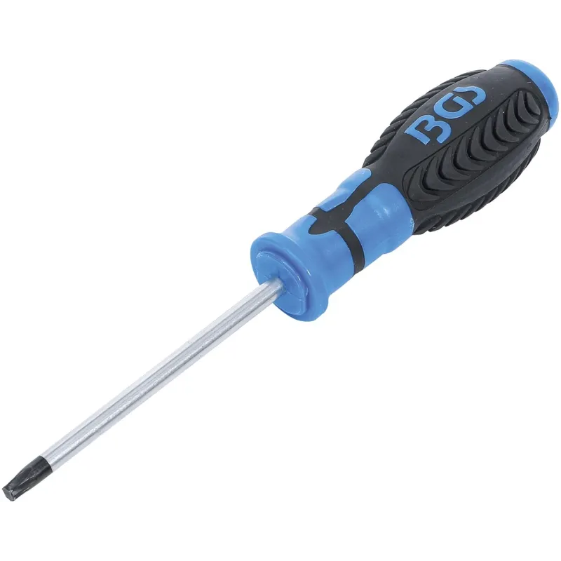 Screwdriver - T-Star ,for Torx, T30 - Blade Length 100 mm