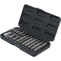 Skrūvgriežu uzgaļu komplekts ar Torx - 3-8 Stiprinājums - 15 gab.