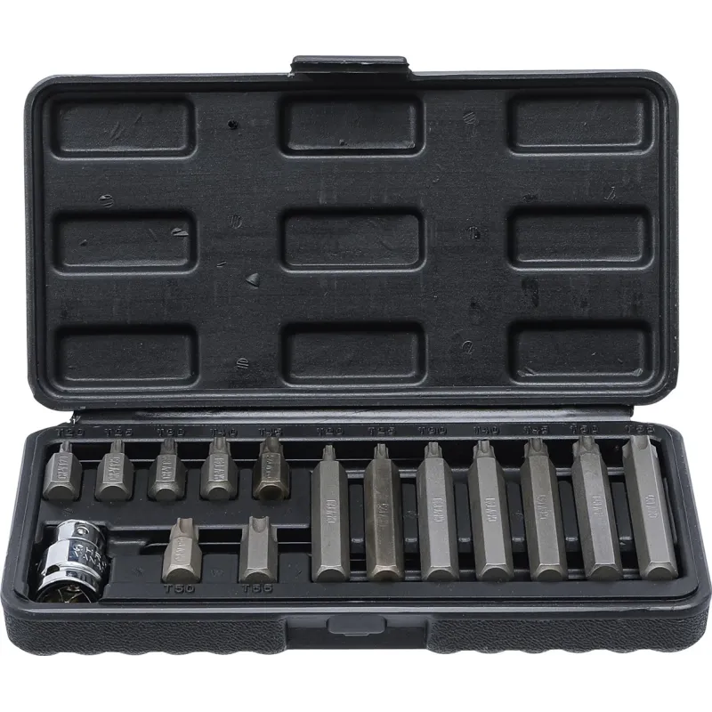 Bit Set - 10 mm ,3-8, Drive - T-Star ,for Torx, - 15 pcs.