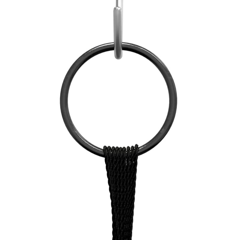 vidaXL sienas dekorācija ar metāla āķi, 720 zilas LED, 5 m